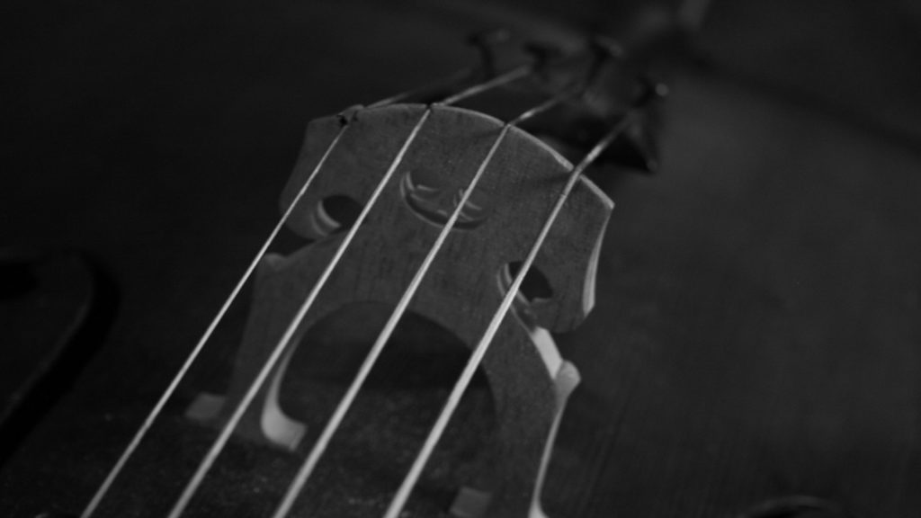 Close-up of a cello bridge